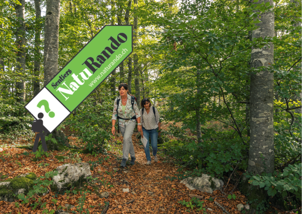 Découvrez les itinéraires NatuRando